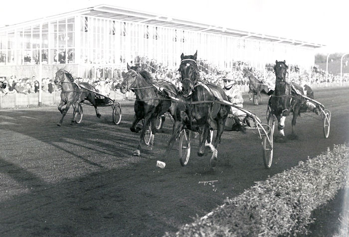 1944